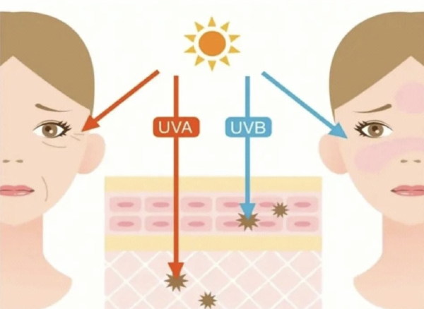 熱老化，警惕高溫危害讓皮膚衰老