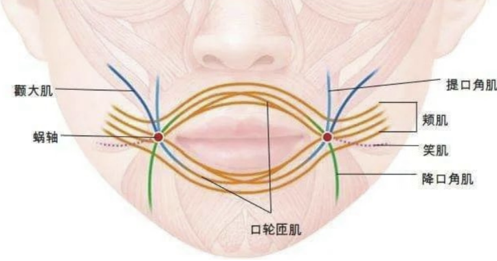 K老別忽視唇，一下老十歲！