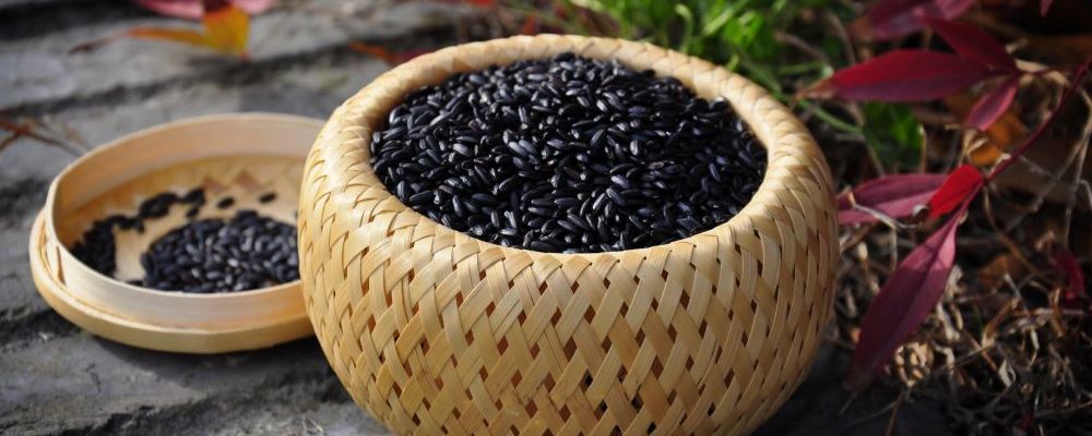 黑米 秋季減肥抗衰藥膳方